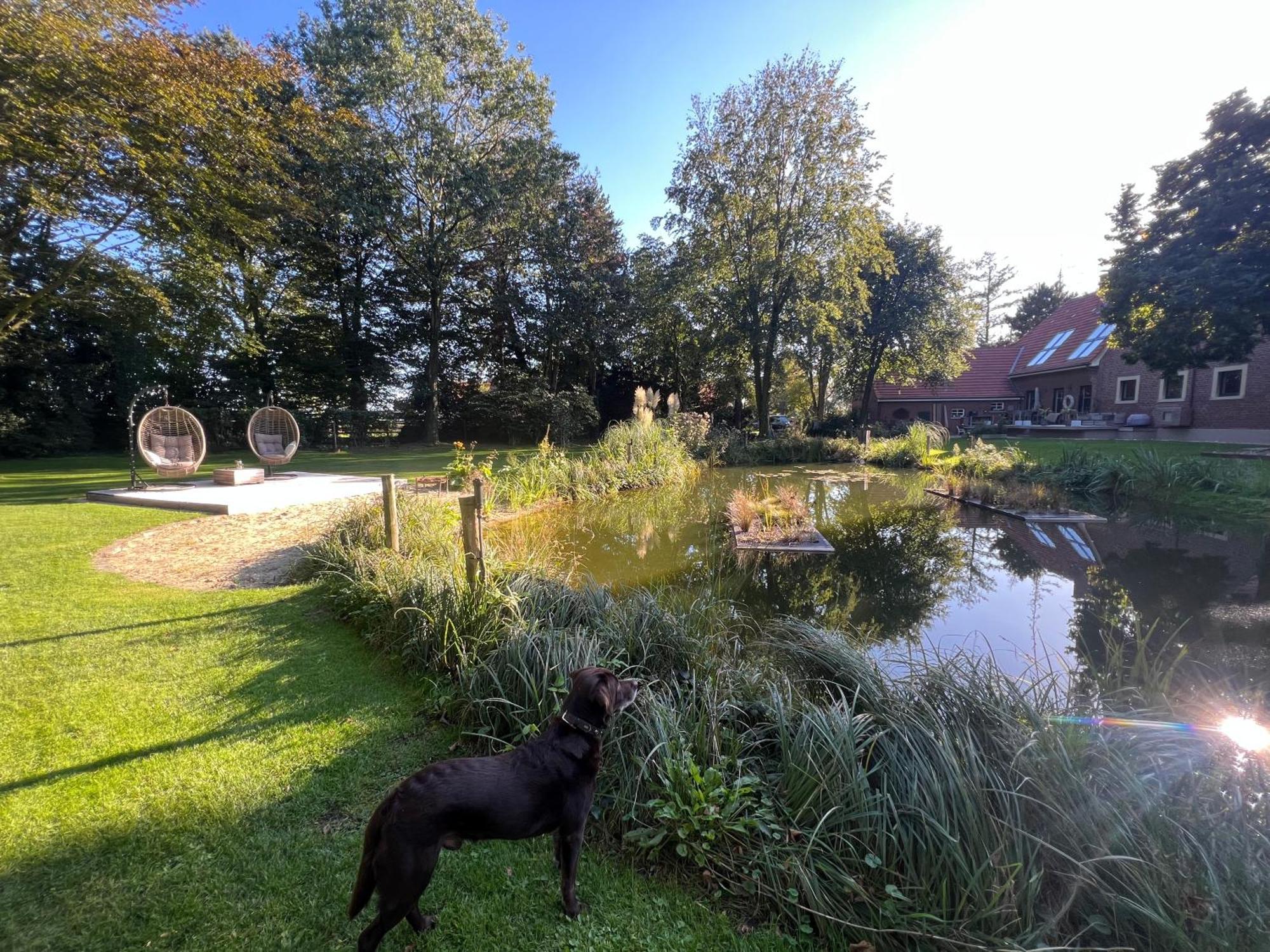 Dreckerhook, Oasis To Slow Down! * Raesfeld
